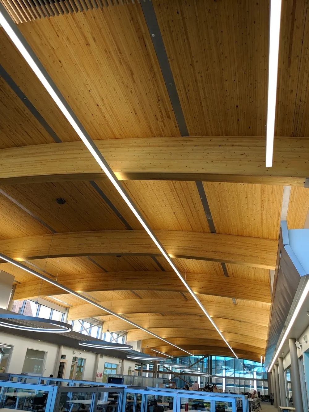 Curved wooden ceiling beams above rows of study desks in the Algonquin College library