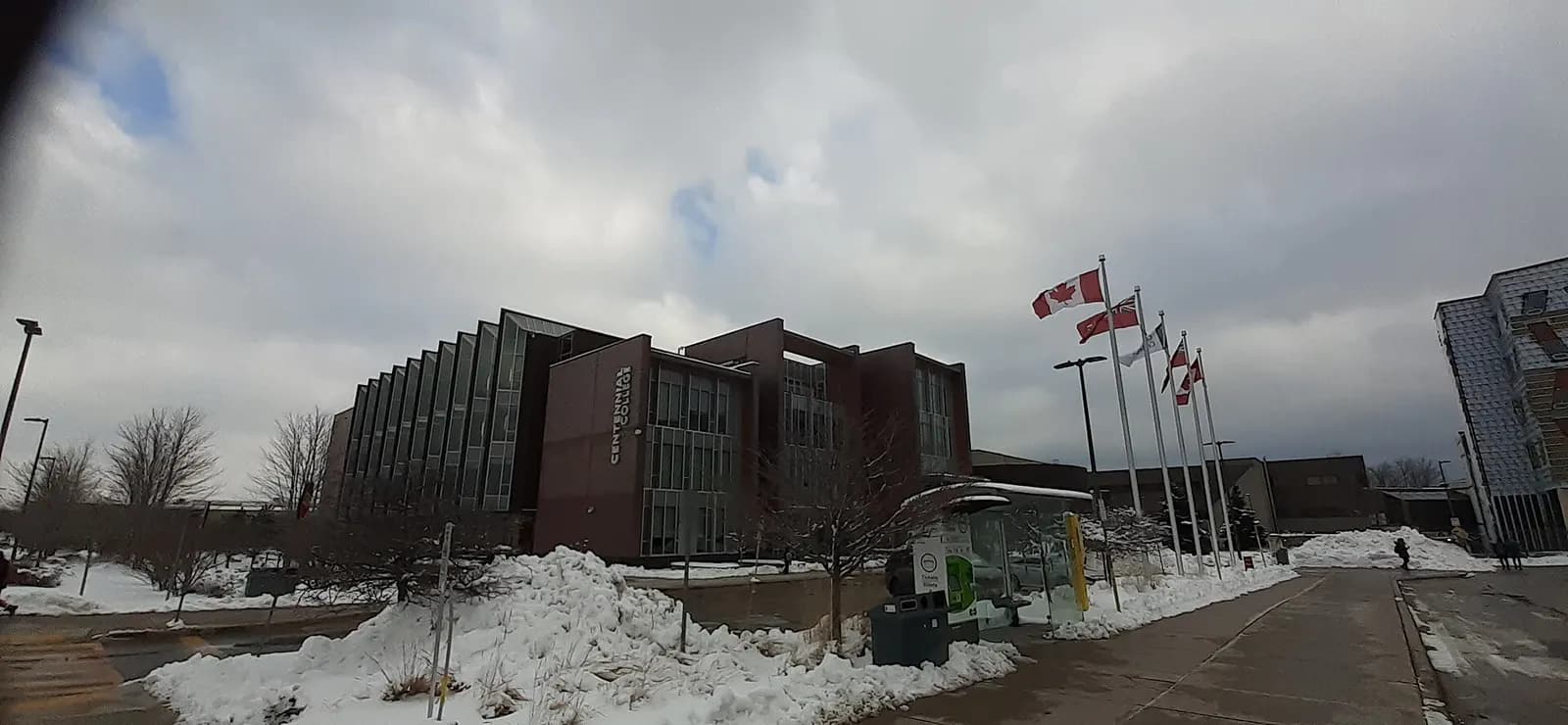 Centennial College building at Progress Campus in winter, with a row of flagpoles and a bus shelter beside the road