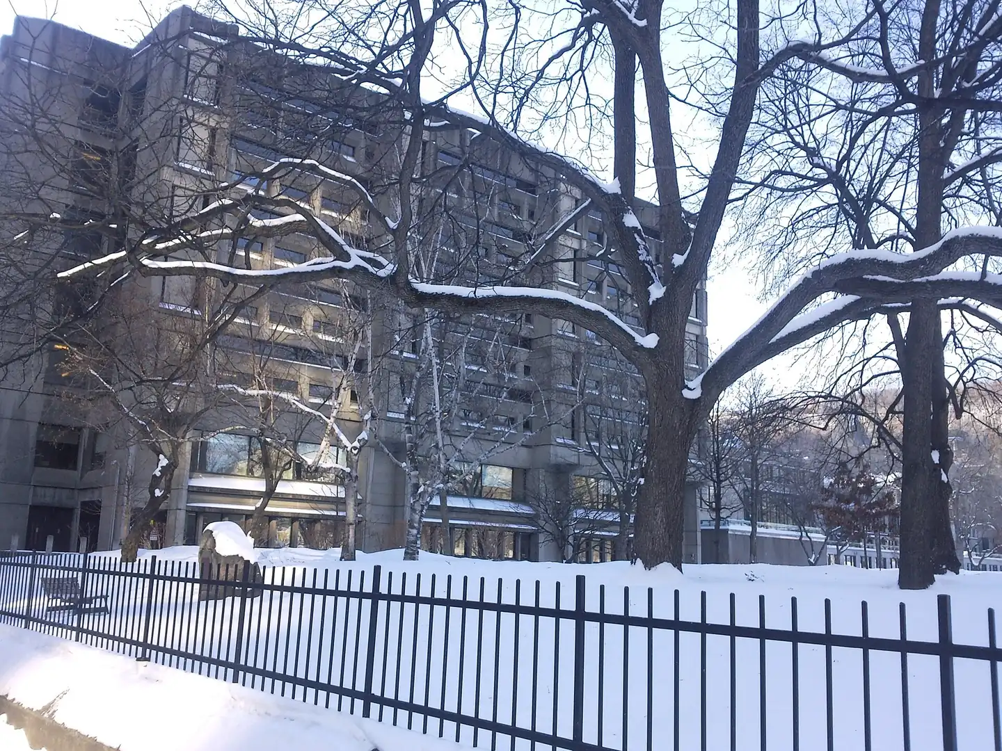 Concrete McLennan Library Building behind snow-covered trees and an iron fence, seen from Sherbrooke Street