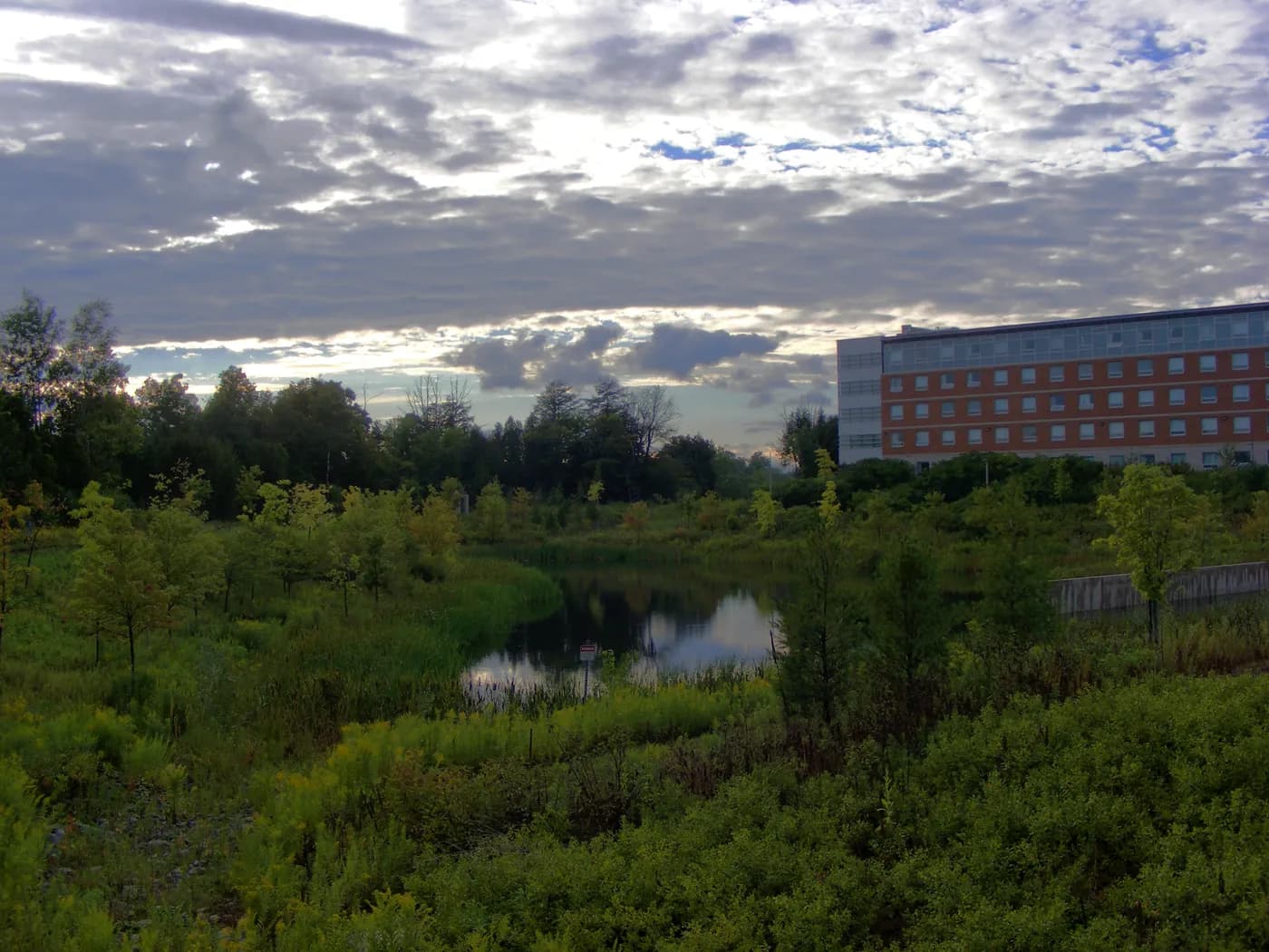 Multi-storey brick South Village residence beyond a pond and green wetland plants under a cloudy sky