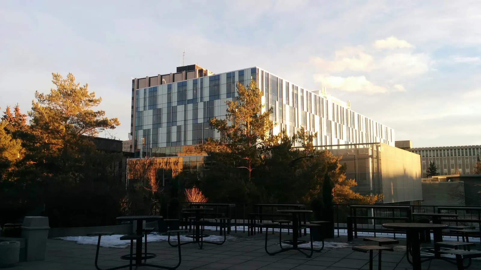 Glass and metal panel facade of UCalgary's Taylor Family Digital Library in evening light, seen past pine trees from an outdoor patio with tables