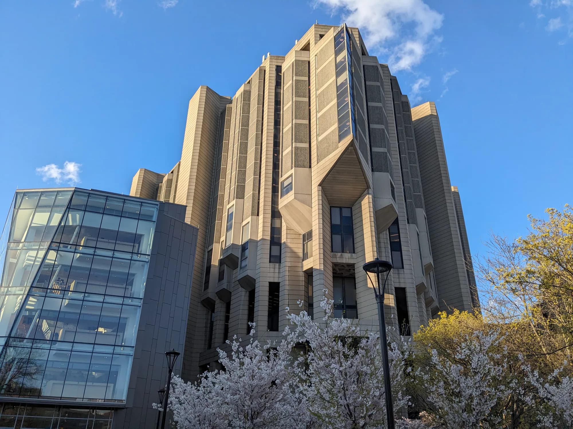 White blossoming trees in front of Robarts Library, with the glass Robarts Common at left