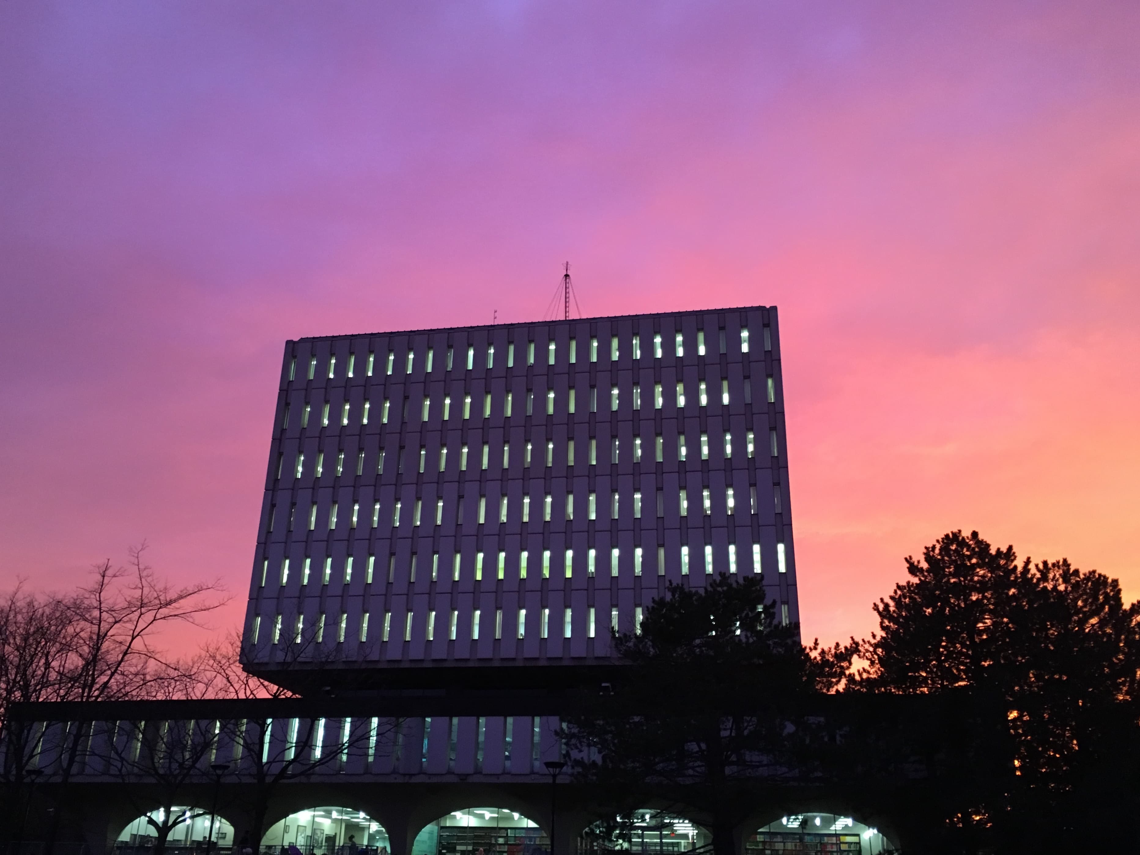 Dana Porter Library tower on Waterloo’s main campus under a pink sunset sky